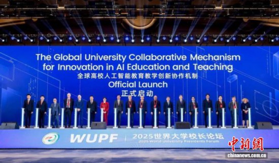 11月8日,论坛现场。(主办方供图)