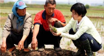 向下扎根向上生长 向下扎根向上生长