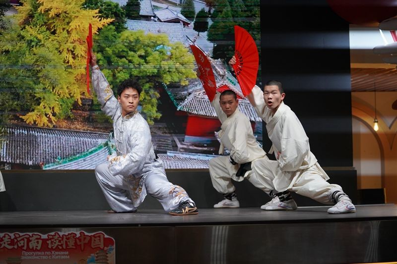 图为河南文化旅游推介会现场功夫展演。河南省文旅厅供图