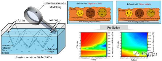 bat365FESE 前沿研究：对分散式废水处理的被动曝气沟的生物膜形成和工艺性(图1)