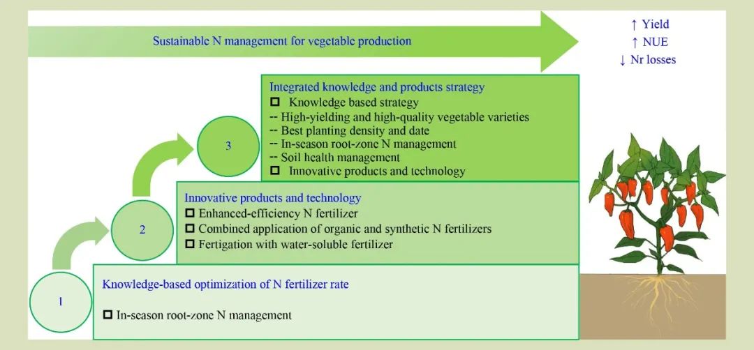 FASE 前沿研究：中国蔬菜生产的可持续性氮素管理(图1)